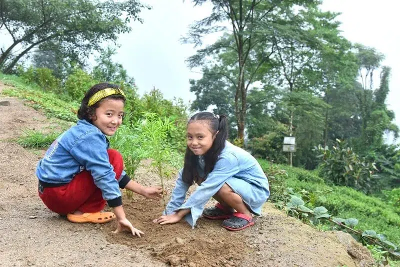 visual impacts of climate change