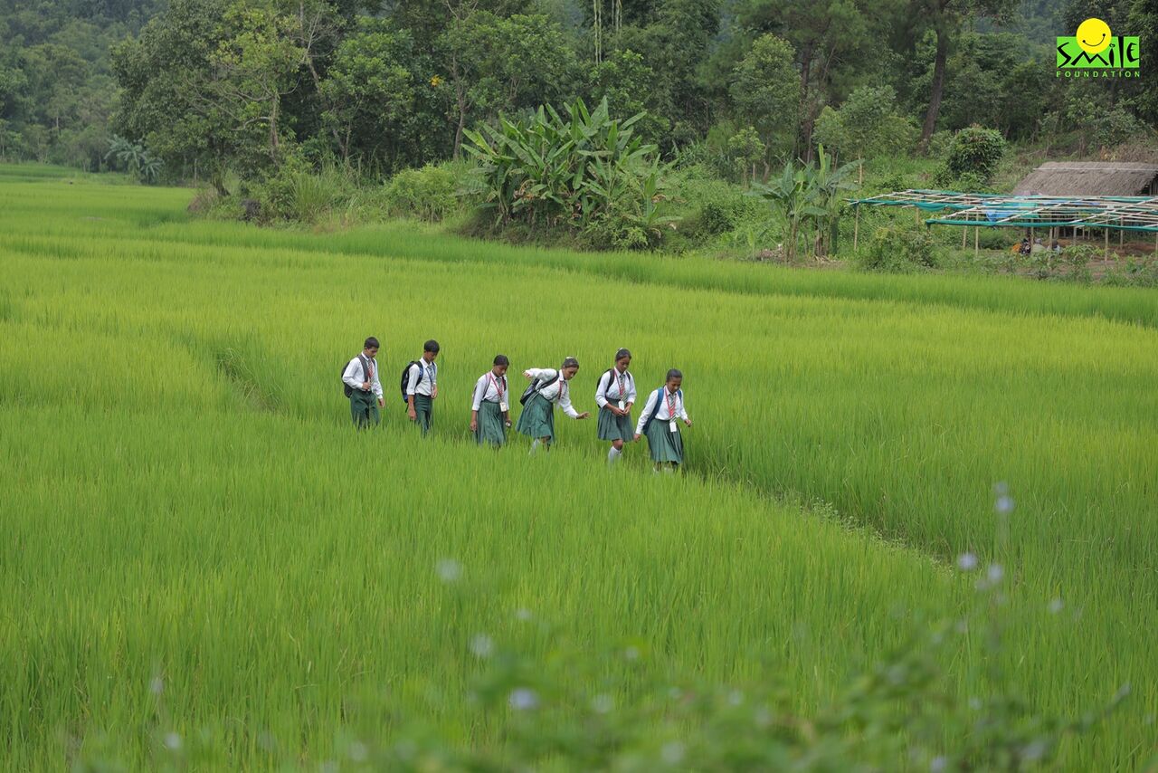 Insights from the Economic Survey 2025-26