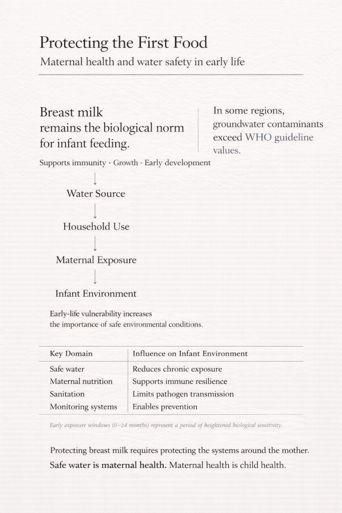Protecting the First Food: Maternal Health Begins with Safe Water